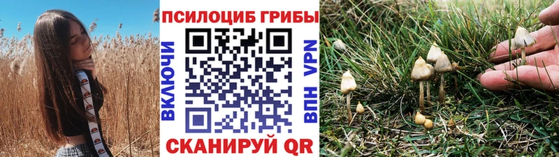 Псилоцибиновые грибы прущие грибы  Заполярный 